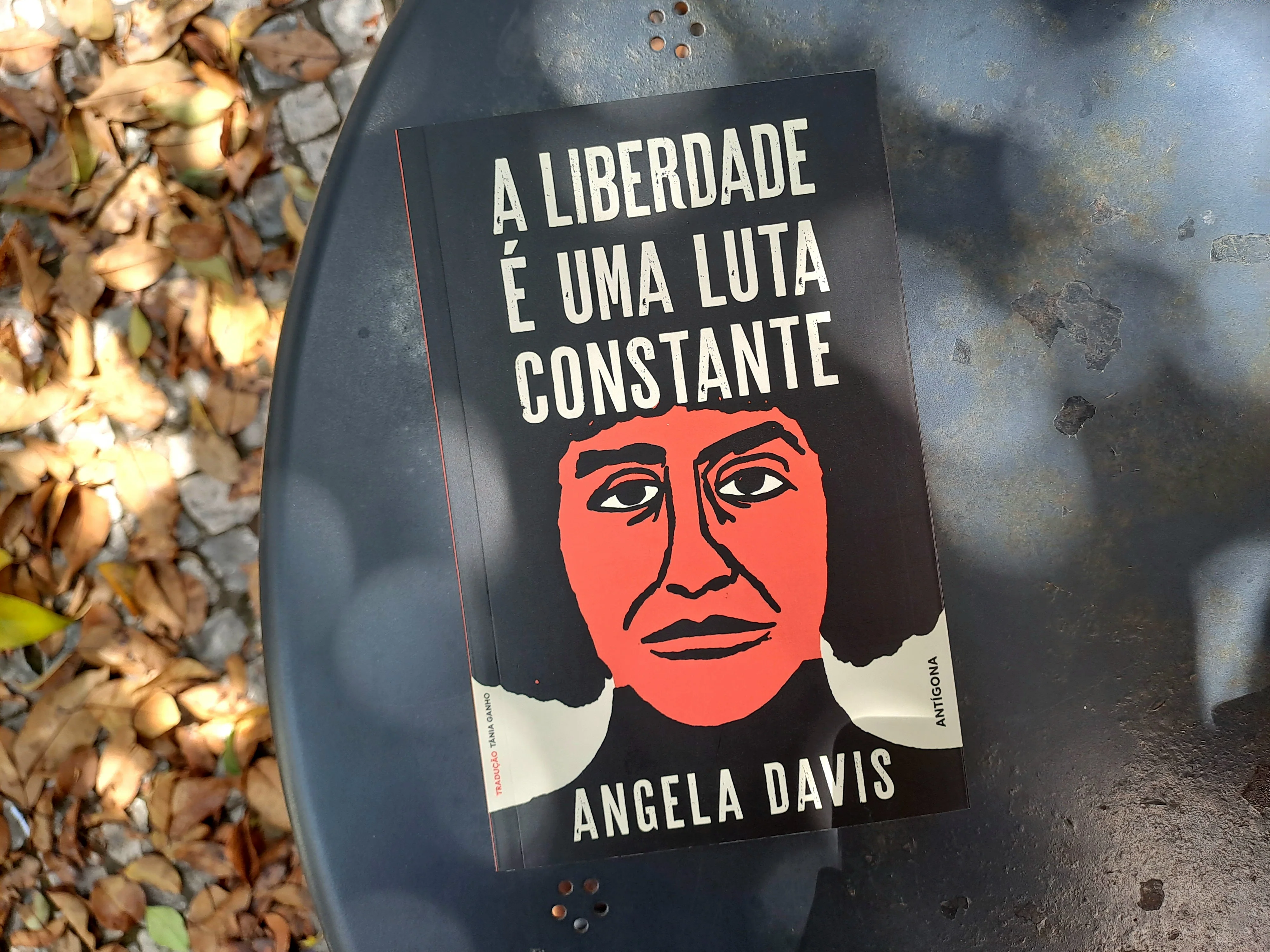A Liberdade é Uma Luta Constante - Image 4