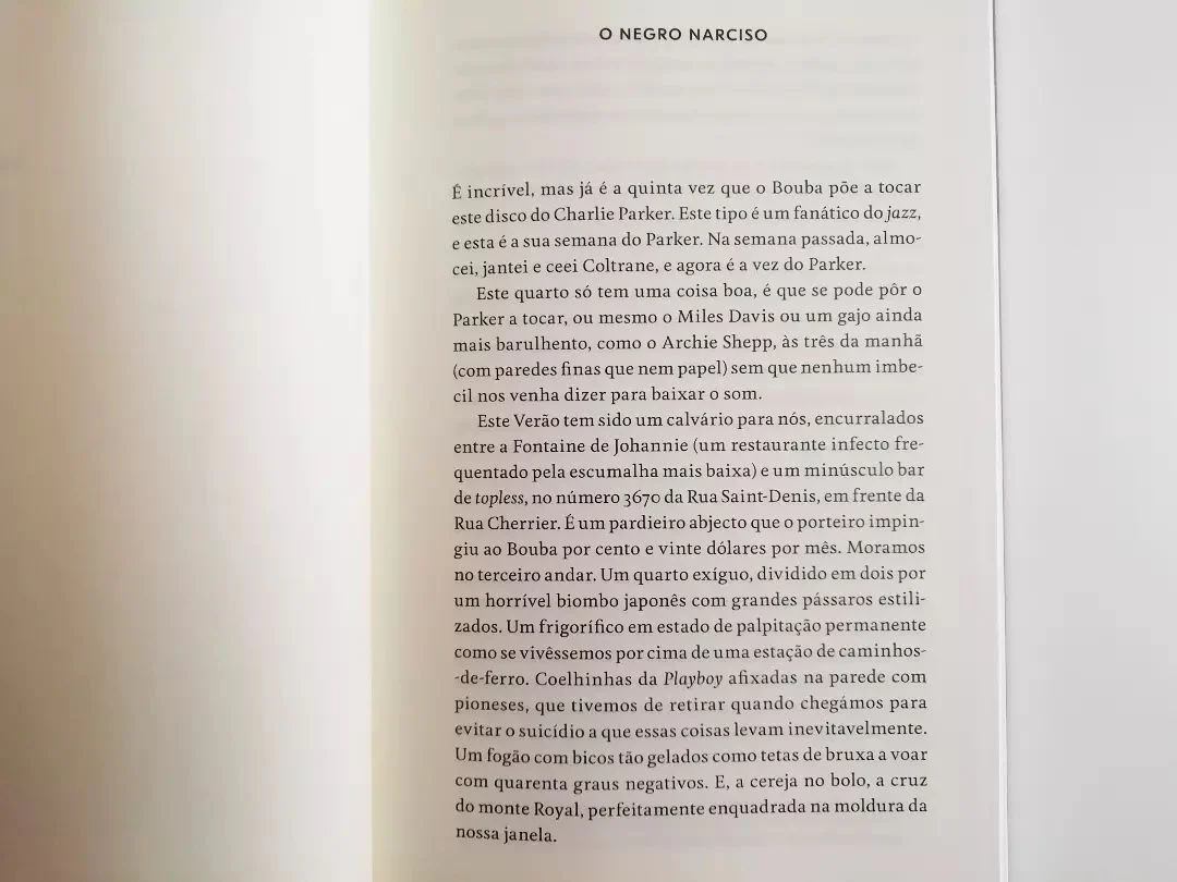 Como Fazer Amor com um Negro sem se Cansar - Image 4