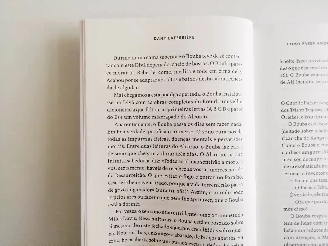 Como Fazer Amor com um Negro sem se Cansar - Image 5