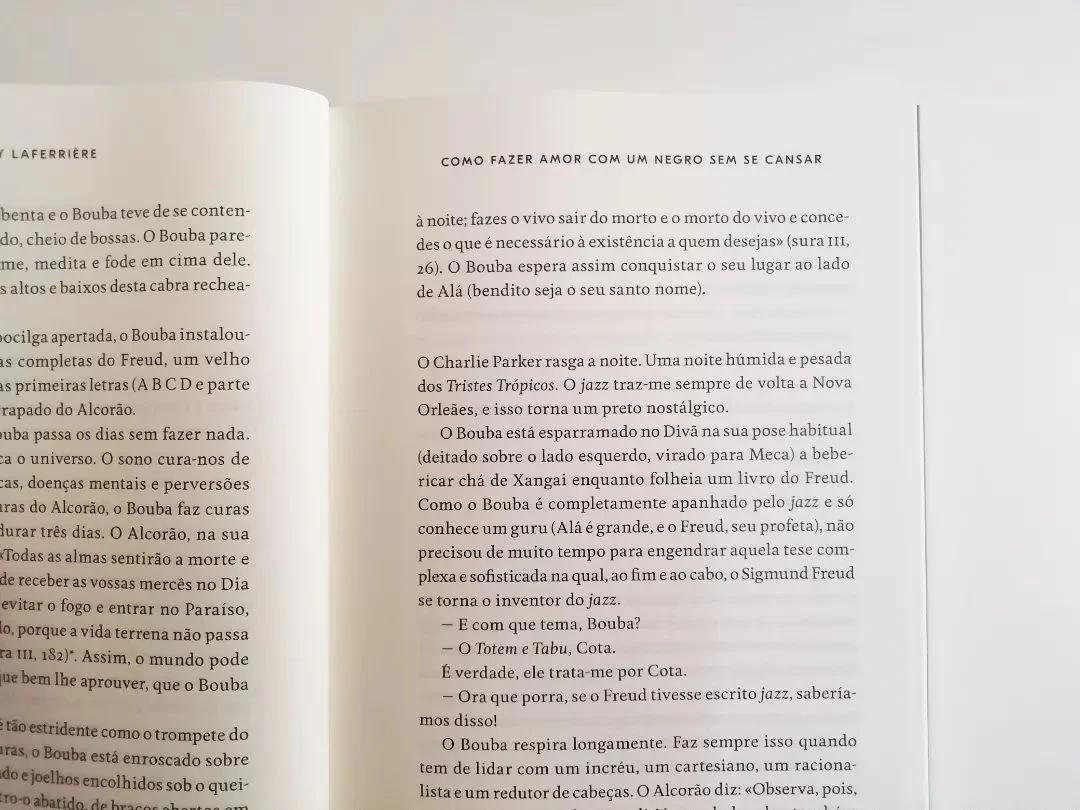 Como Fazer Amor com um Negro sem se Cansar - Image 6