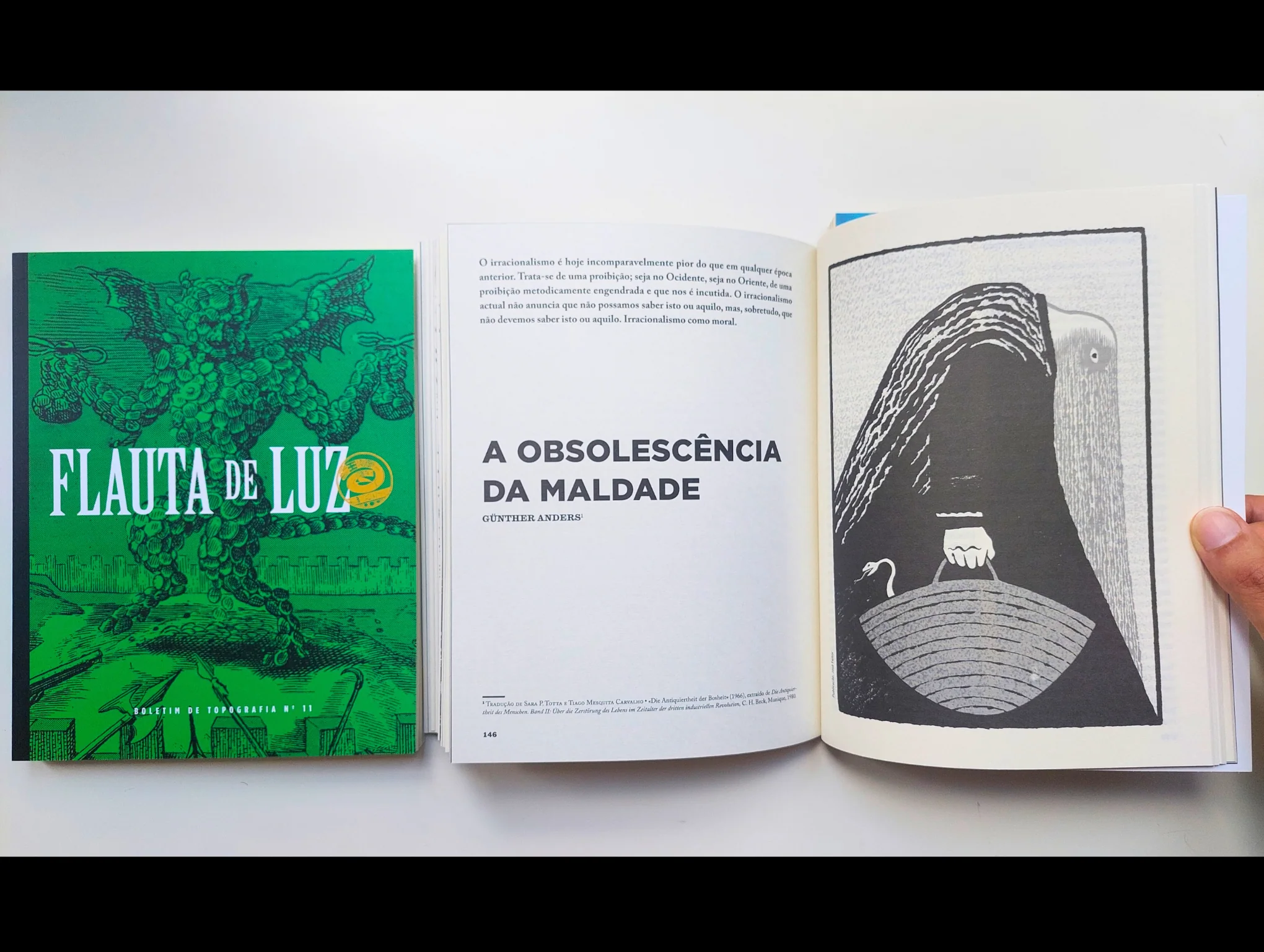 Flauta de Luz – n.º 11 - Image 10