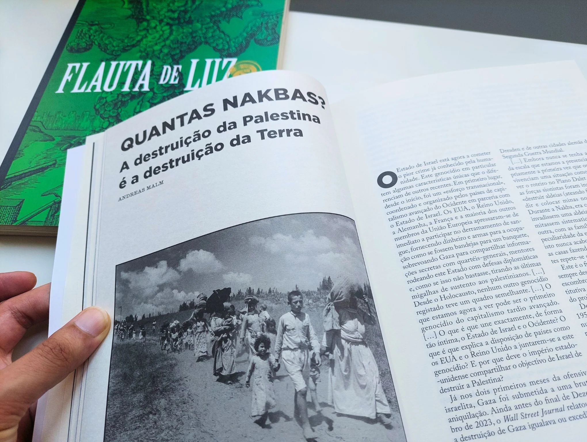 Flauta de Luz – n.º 11 - Image 9