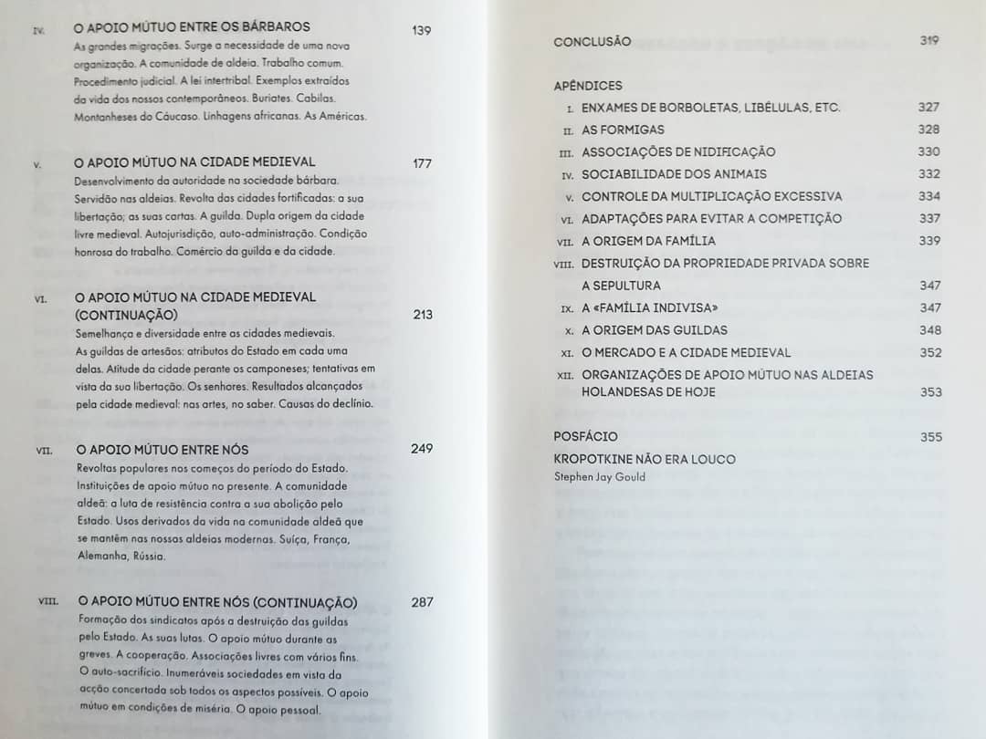 O Apoio Mútuo - Image 10