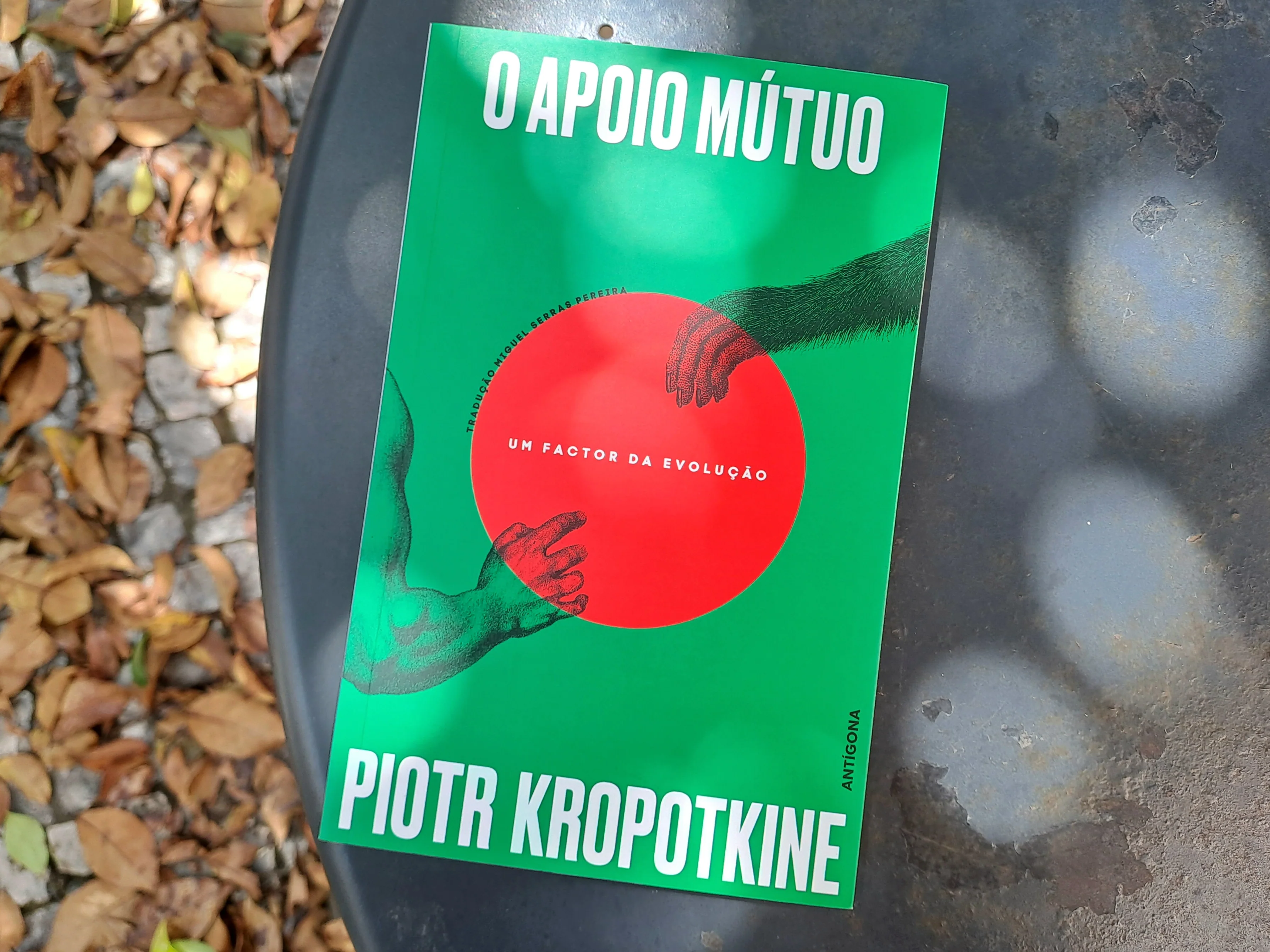 O Apoio Mútuo - Image 4