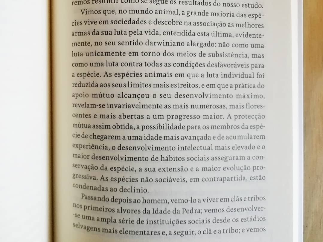 O Apoio Mútuo - Image 5