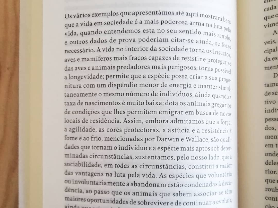 O Apoio Mútuo - Image 7