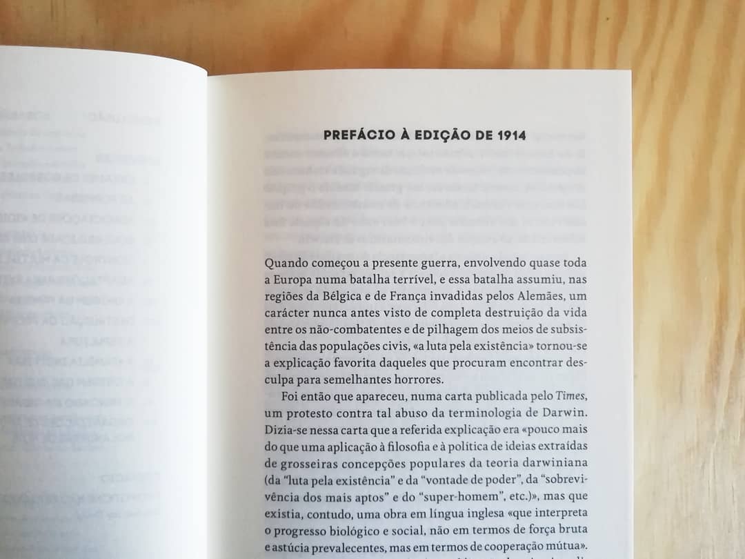O Apoio Mútuo - Image 8