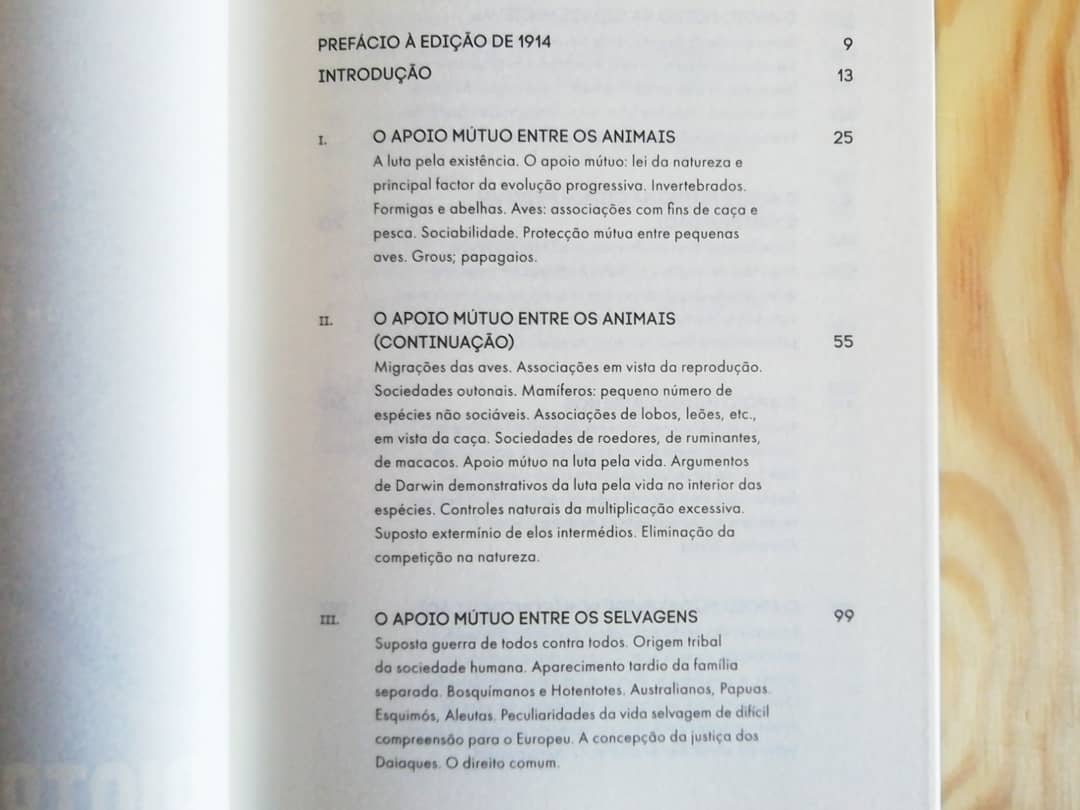 O Apoio Mútuo - Image 9