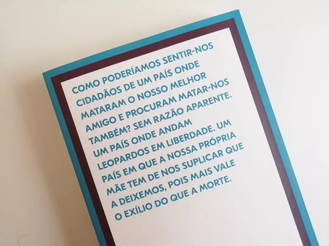 O Grito dos Pássaros Loucos - Image 3