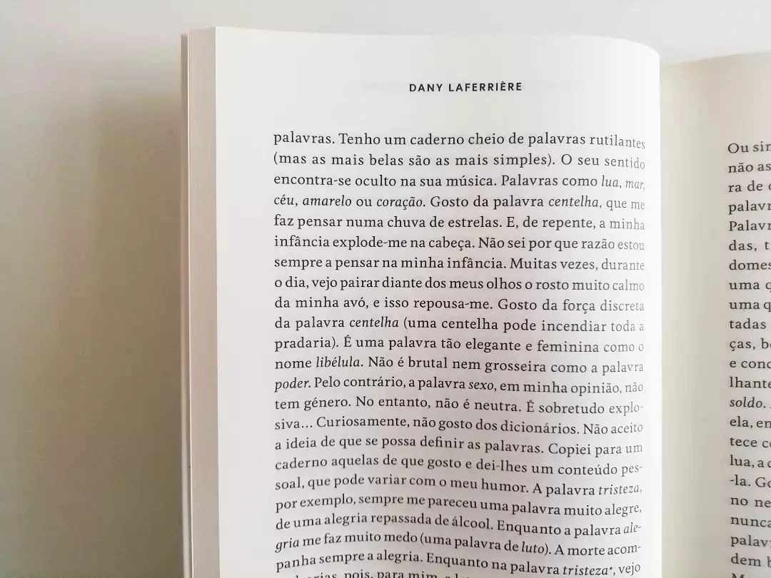 O Grito dos Pássaros Loucos - Image 4