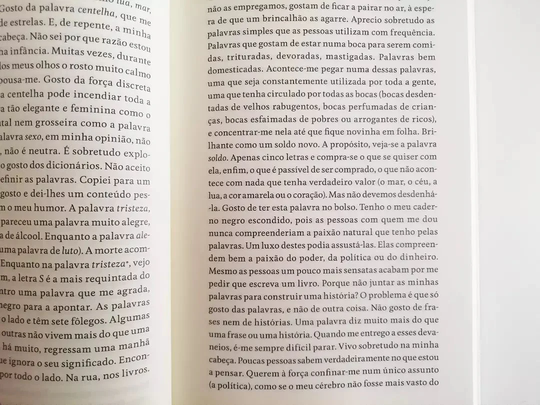 O Grito dos Pássaros Loucos - Image 5