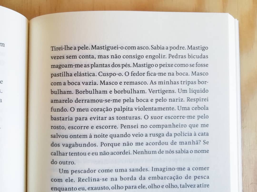 Pão Seco - Image 6