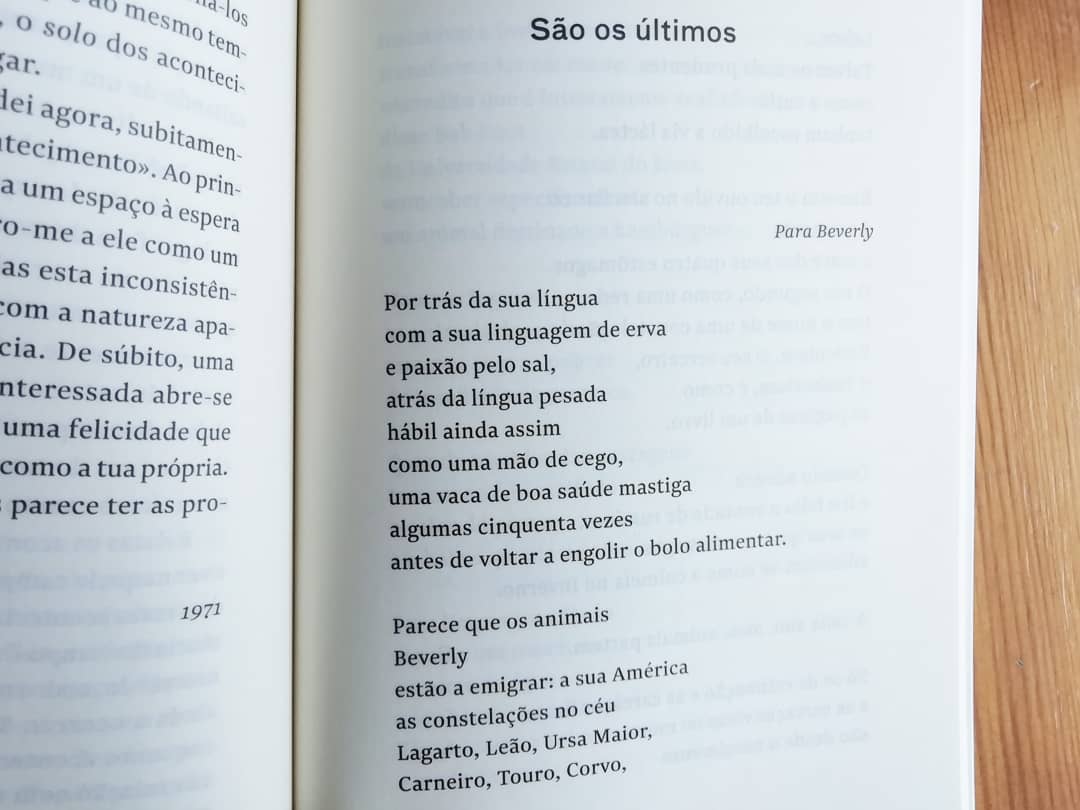 Porquê Olhar os Animais? - Image 11