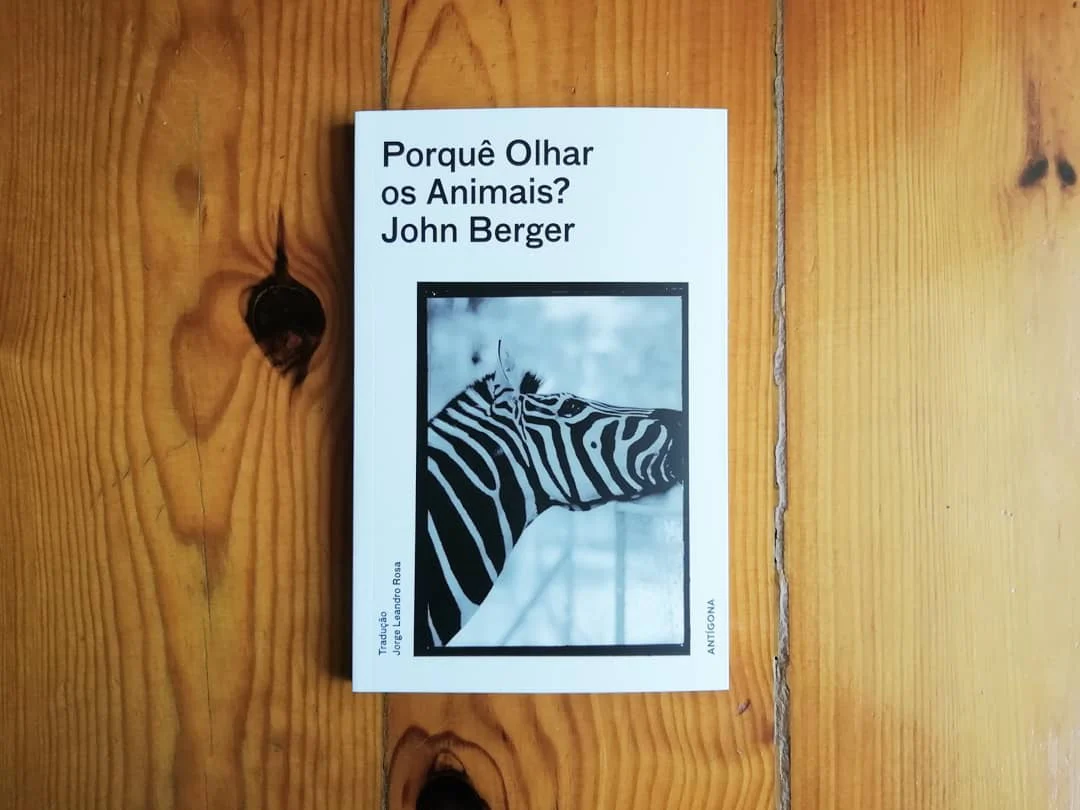 Porquê Olhar os Animais? - Image 3
