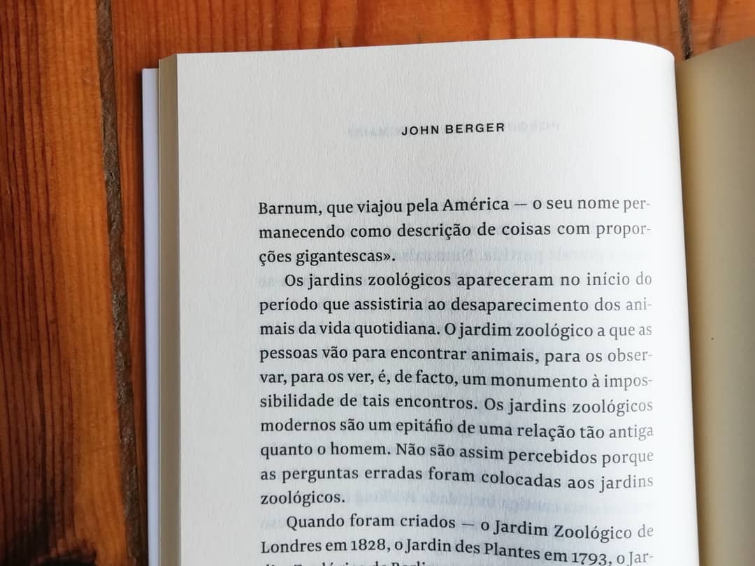 Porquê Olhar os Animais? - Image 7