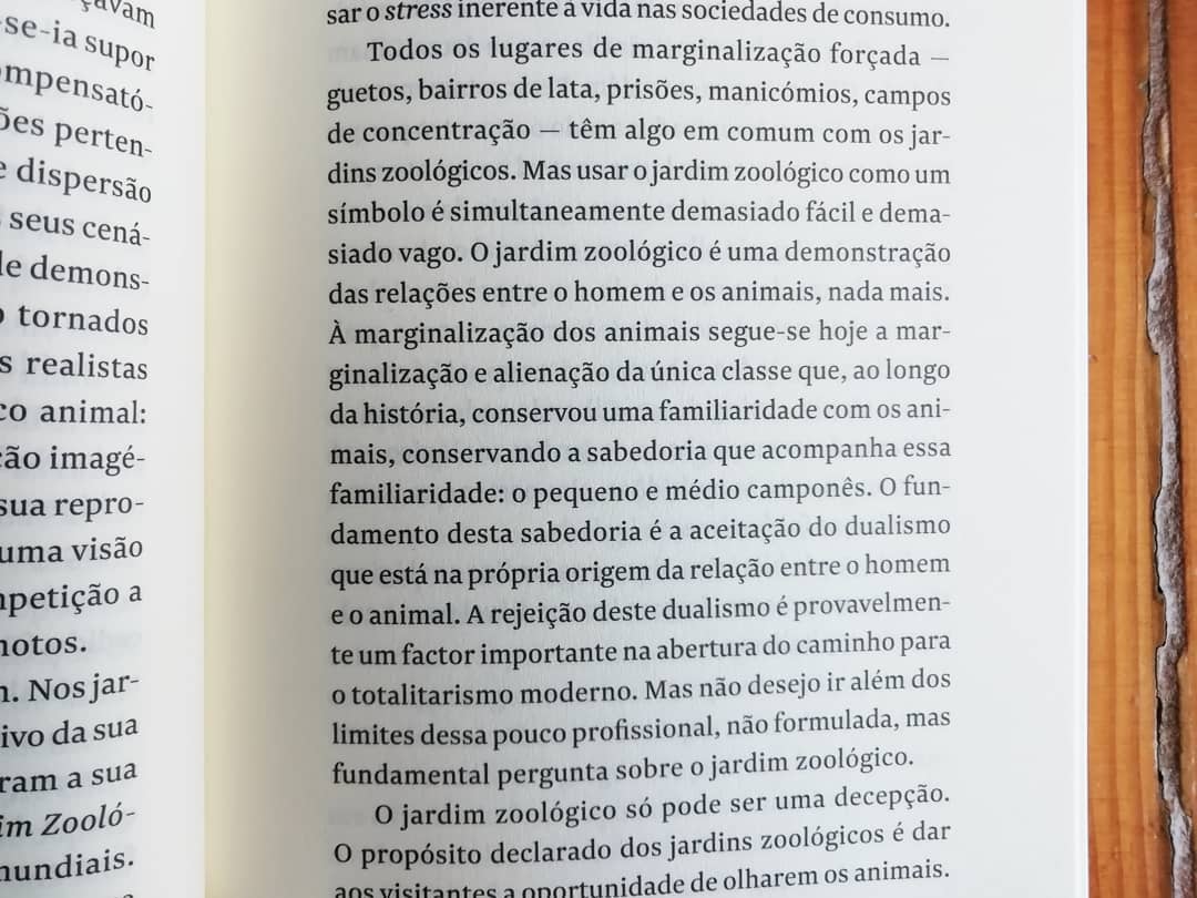 Porquê Olhar os Animais? - Image 8